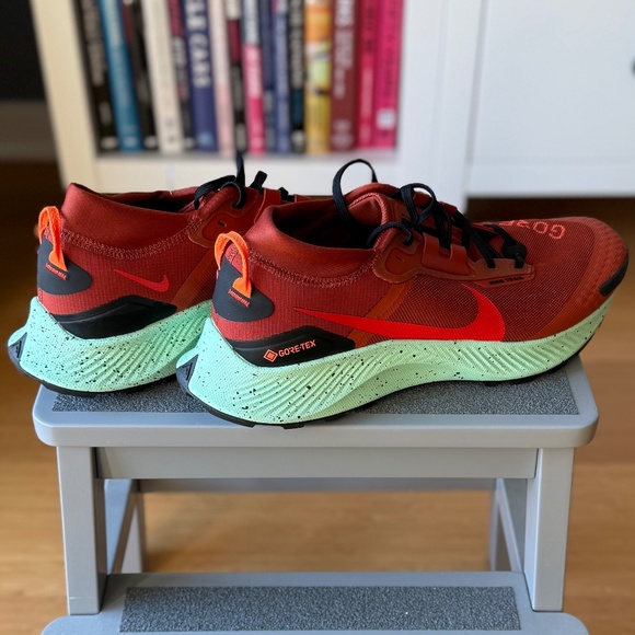 RARE COLORS | NWT | Nike | 10.5 M | Pegasus Trail 3 GTX - Picture 2 of 11